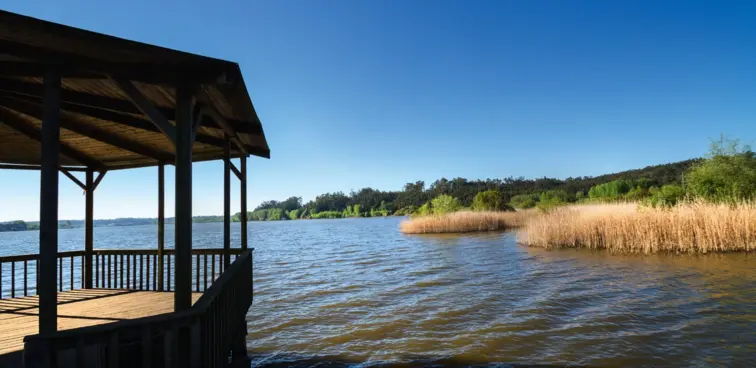 Pateira de Fermentelos