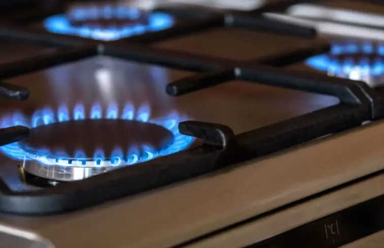 Governo assegura mecanismos europeus para proteger consumidores se gás subir 70%