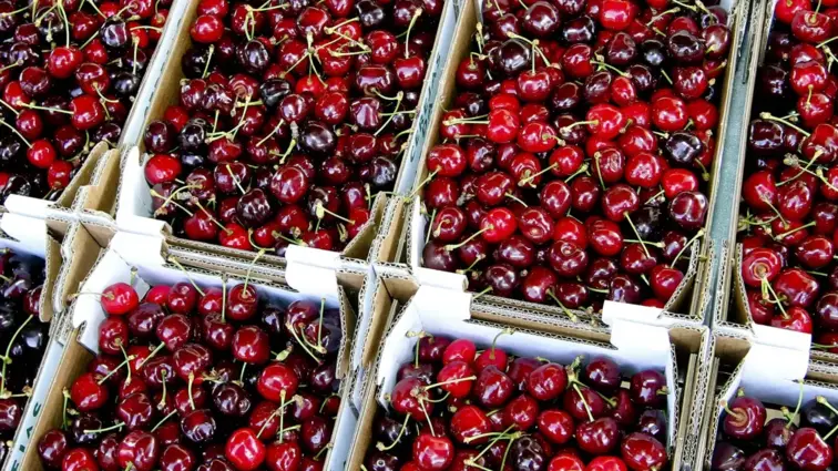 Caixas de cerejas