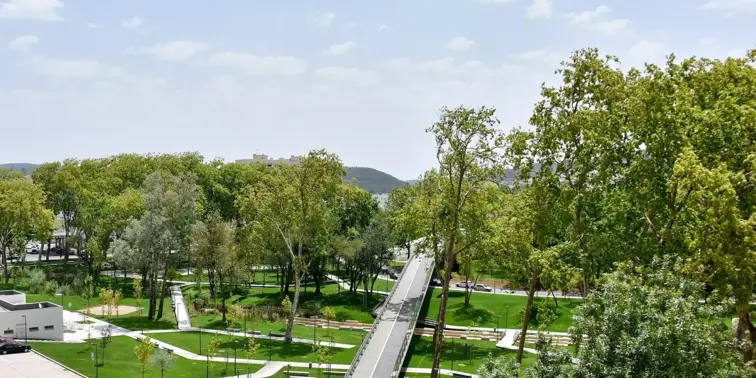 Câmara de Torres Vedras quer tornar cidade mais verde dentro de dois anos