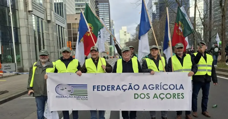 Federação Agrícola dos Açores preocupada com acordo UE-Mercosul
