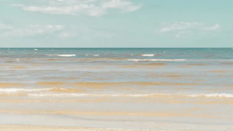 Praia da Calada, Mafra, “sem condições” para banhos em 2026 