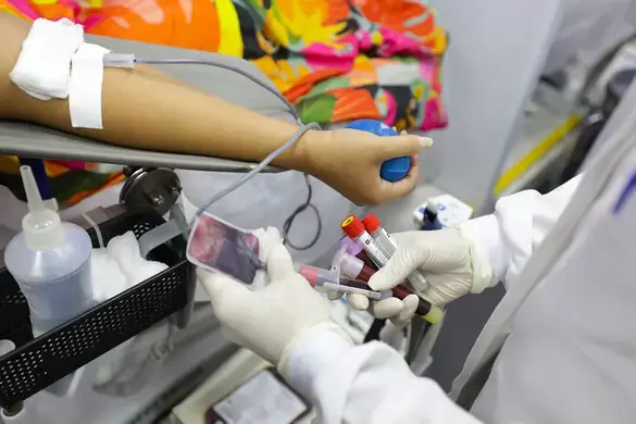 Dádiva de sangue