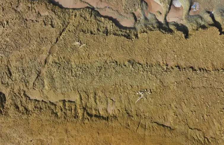 Vista aérea dos vestígios das baleias