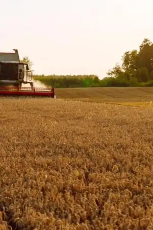 Governo quer facilitar licenças hidráulicas e racionalizar custo energético para ter mais cereais