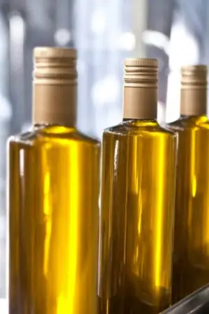 Produtor de azeite alentejano estreia certificação nacional de sustentabilidade