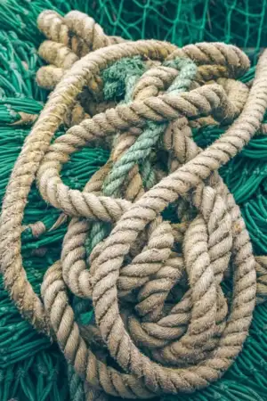 Explosões no leito do Mondego ameaçam início da época da lampreia e do sável