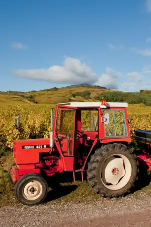 Mercosul: Parlamento Europeu impõe "travão" para proteger agricultores portugueses