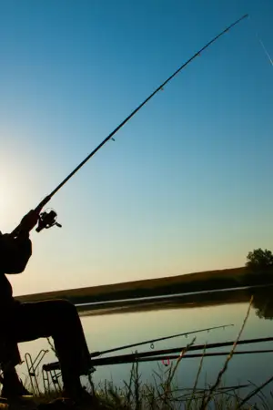 2025 foi ano "histórico" para pesca sustentável na Península Ibérica 