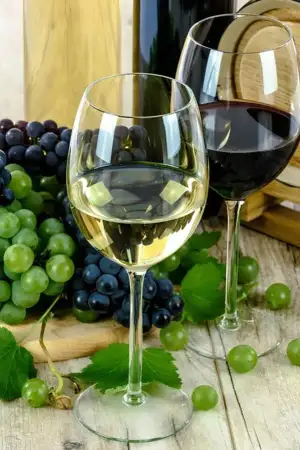 Governo cria Observatório do Vinho e da Vinha para apoiar o setor