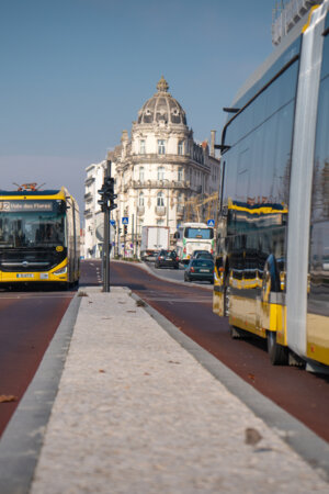 Autarcas de Coimbra defendem criação de uma Região Metropolitana