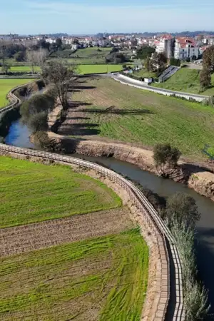 Estarreja inaugura novos passadiços para a Ilha dos Amores