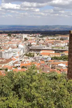 Autarquia de Castelo Branco atribui apoio extra às freguesias