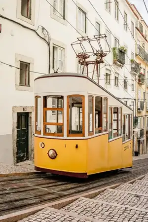 UC coordena polo regional português do projeto Novo Bauhaus Europeu