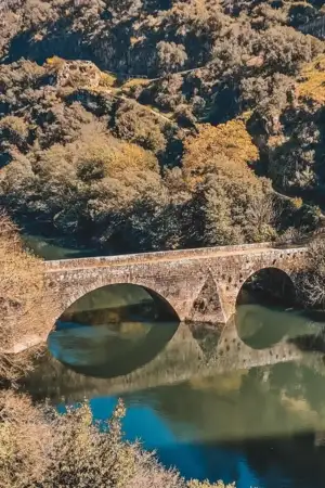 “Cuidar sem distância” leva ação social às aldeias de Pedrógão Grande