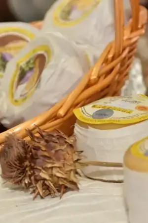 Seia abre no fim de semana ciclo de feiras do queijo Serra da Estrela