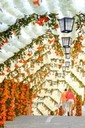 Campo Maior anuncia oficialmente as Festas do Povo 2026