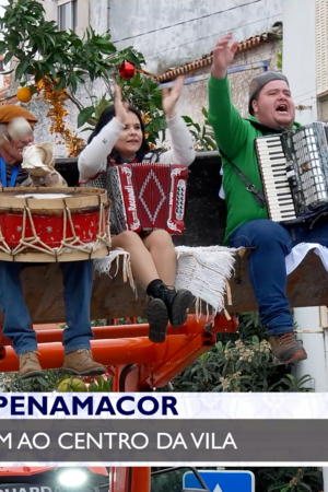 "O maior Madeiro do país" chegou ao centro de Penamacor