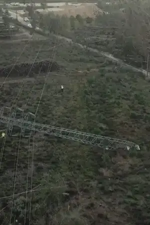  Reposição da eletricidade na região de Leiria pode arrastar-se até ao final de fevereiro