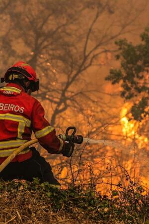 Parlamento quer valorizar sapadores florestais e gestão de fogos rurais