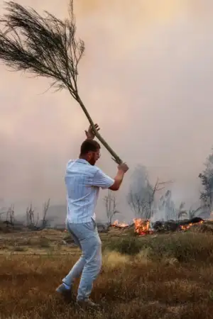 270.000: o número do ano é trágico e tem muitos rostos dentro