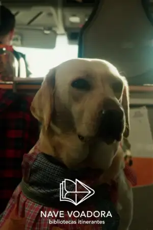 Nave Voadora - Oliveira de Azeméis