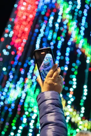 A maior árvore de Natal do país tem 55 metros e está em Ermesinde