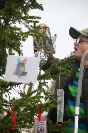Esta árvore de Natal é decorada com desejos de crianças e jovens
