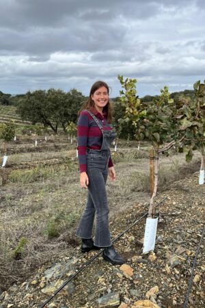 O projeto que reinventou a cultura do pistácio em Portugal