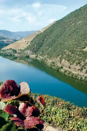 Chaves recebe exposição fotográfica que revive o Norte de Portugal dos anos 1990
