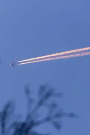  Portugal pode ter “um papel fundamental” na prevenção dos impactos gerados pelos rastos de aviões 