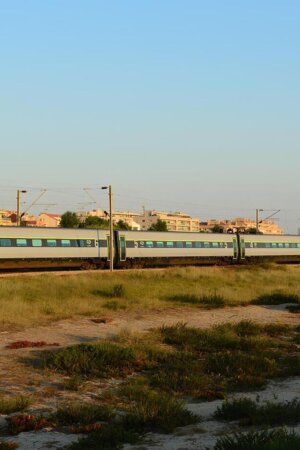 Governo avisa que alterações ao TGV em Gaia não são "decisões unilaterais" do consórcio