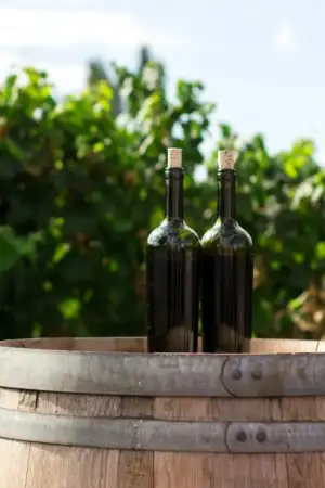 Alentejo aposta na internacionalização para duplicar exportações de vinho até 2031