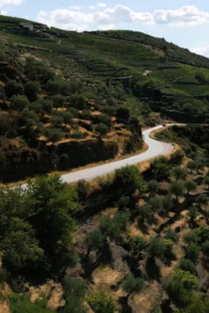 Troço da EN222 em São João da Pesqueira terá trânsito alternado durante obras