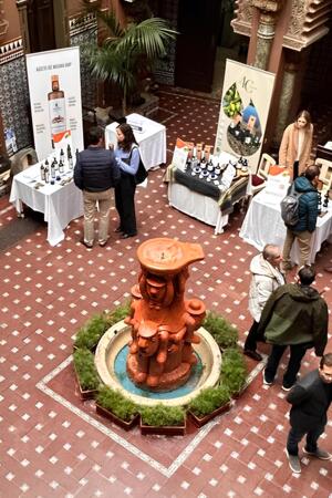 Azeite Novo do Alentejo “no pico da sua forma” apesar da quebra de produção