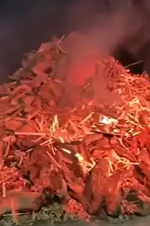 Fogueira de Natal regressa em força e reúne mais de 1500 pessoas no Largo das Neves