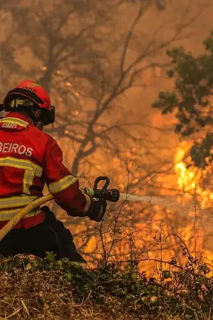 Apoios dos incêndios emperram no terreno: só um terço das candidaturas foi pago