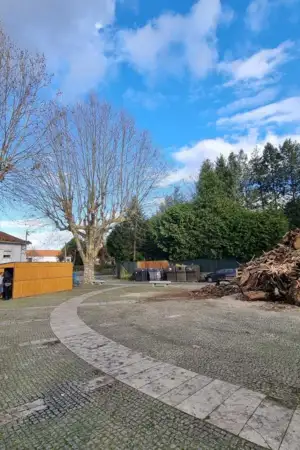 Fogueira de Nossa Senhora das Neves volta a acender-se