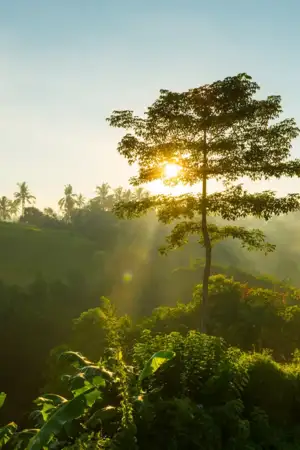 Programas de água, floresta e eficiência energética financiados pela Agência para o Clima 