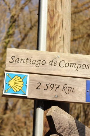 Mais de 100 mil peregrinos no Caminho Português de Santiago