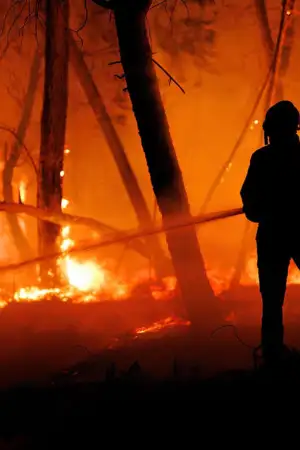 Números sobre os fogos ocultam realidade de incêndios em Portugal