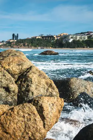 Municípios adjudicam estudos para futura Área Marinha Protegida de Cascais, Mafra e Sintra