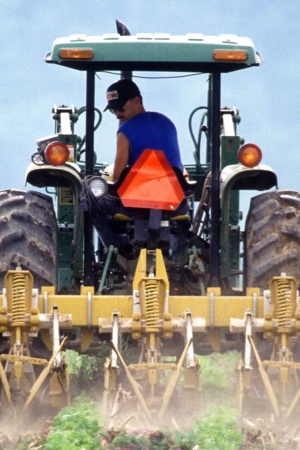 Portugal tem quebra significativa na produtividade do trabalho agrícola 