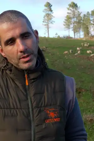 Crise da lã: produtores não conseguem escoar matéria-prima e custo da tosquia é muito superior ao valor pago pelo quilo