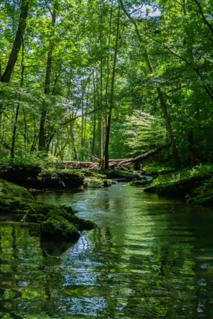 Projetos portugueses escolhidos para a Bienal Internacional de Malta 2026