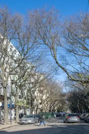 Comerciantes afetados por obras na Rua Ferreira Borges, em Lisboa, vão beneficiar de isenções fiscais