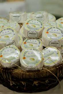 Festival Queijo, Pão e Vinho regressa à Quinta do Anjo entre 27 e 29 de março