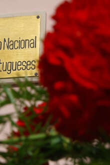 Placa da ANMP com cravo ao lado