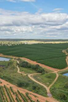 Agroecologia e dados combinam-se para semear projeto agrícola premiado em Beja