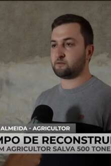 Jovem agricultor salvou 500 toneladas de arroz da subida das águas do Mondego